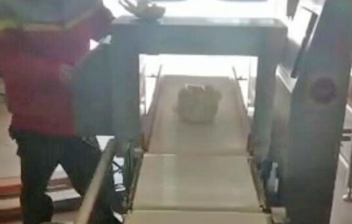 金检称重一体机 蔬菜